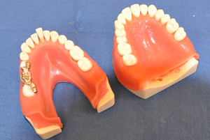 28hon.jpgのサムネール画像