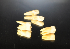 sorezore.jpgのサムネール画像