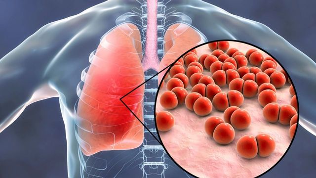 コロナ禍の歯科治療と歯の予防治療｜香川県高松市の咬み合わせ専門　吉本歯科医院