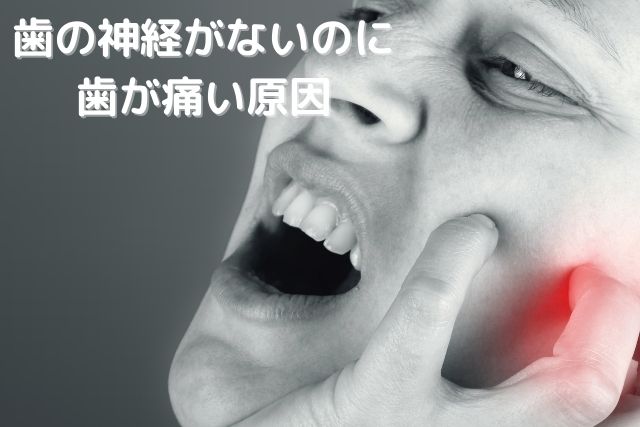 歯の神経がないのに噛むと歯が痛い原因｜香川県高松市の咬み合わせ専門　吉本歯科医院
