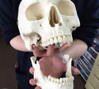 下あごがおかしいと全身バランスを崩してしまいます
