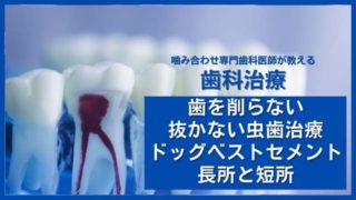 ドッグベストセメント治療・MTAセメントをやっていますか？というお問い合わせ