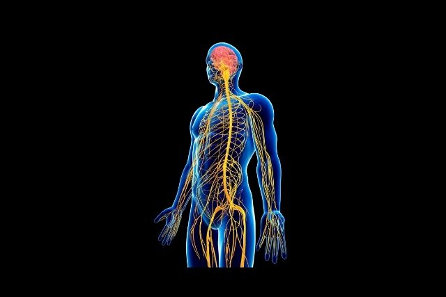 かみあわせ治療なら香川県 高松市 咬み合わせ専門歯科 吉本歯科医院