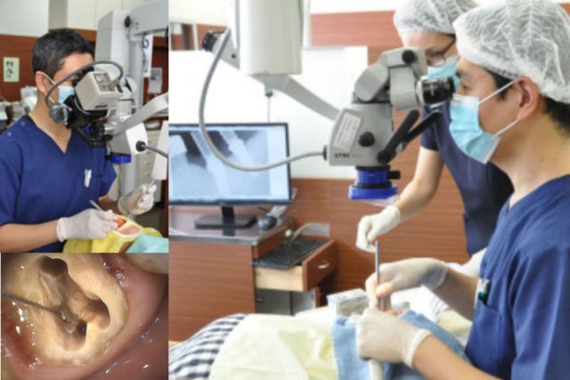 歯科の保険治療と保険外治療（自由診療）の違い｜香川県 高松市 吉本歯科医院