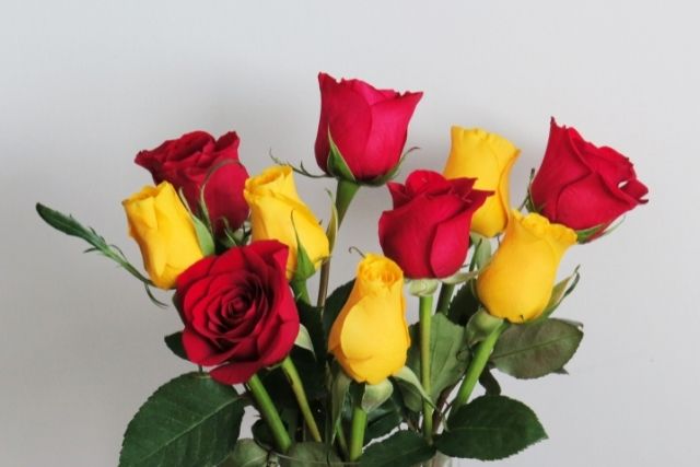 神経を取った歯が変色しているのを白くしたい|香川県 高松市 審美歯科なら吉本歯科医院