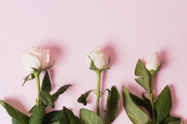 神経を取った歯が変色しているのを白くしたい|香川県 高松市 審美歯科なら吉本歯科医院