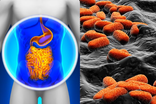 咬み合わせ専門歯科　吉本歯科医院｜高松市
