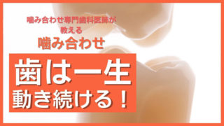 歯は一生動き続けます
