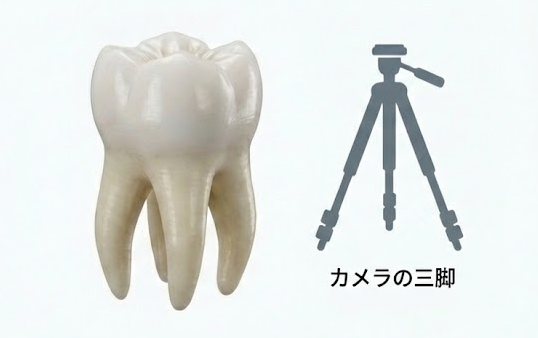 出っ歯になる原因|年齢とともに前歯が出てくる本当の理由|咬み合わせ専門の吉本歯科医院【香川県高松市】