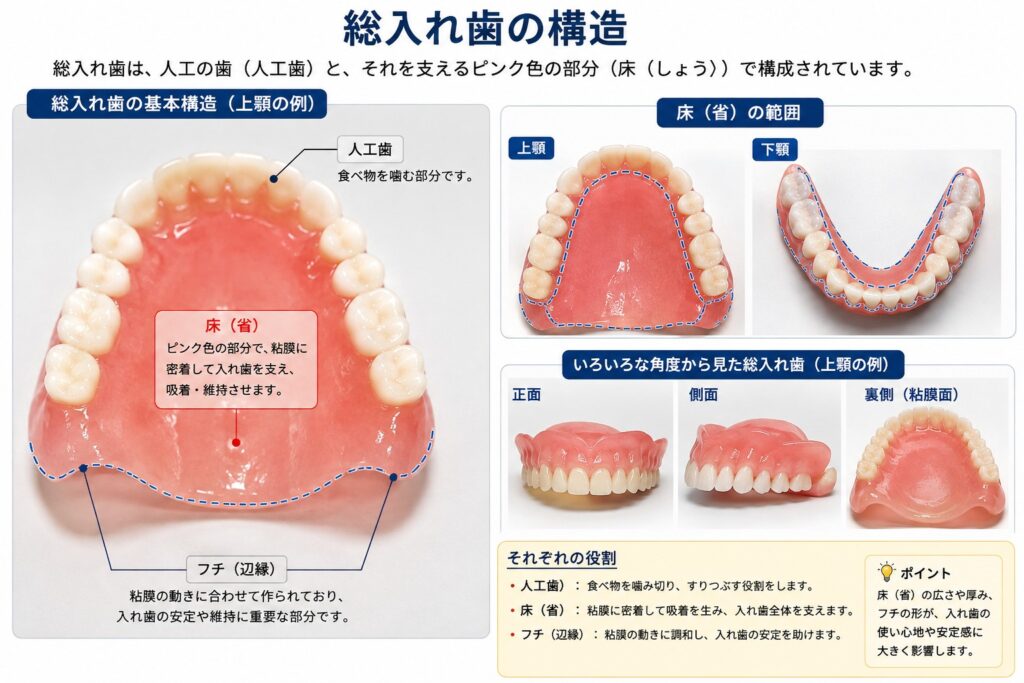 入れ歯にしてから食事の味がよくわからない。舌ではなく、上あごをおおう入れ歯の床が関係しています｜香川県高松市の咬み合わせ専門歯科　𠮷本歯科医院