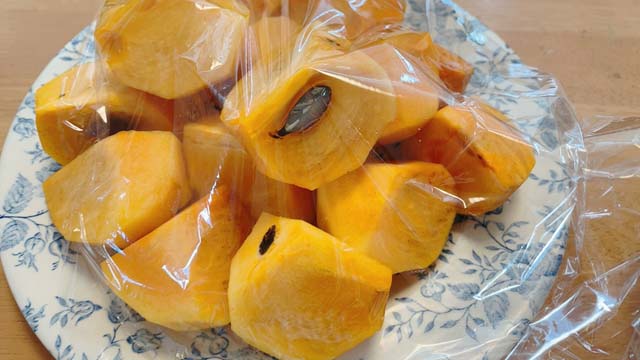 吉本歯科医院のお昼ご飯｜咬み合わせ専門　吉本歯科医院