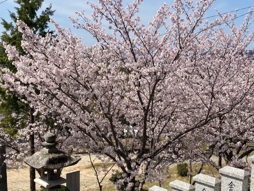高松市、咬み合わせ専門　吉本歯科医院