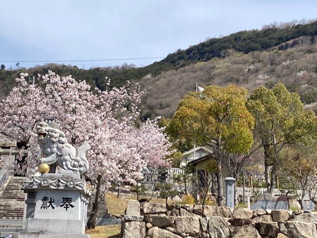 高松市、咬み合わせ専門　吉本歯科医院