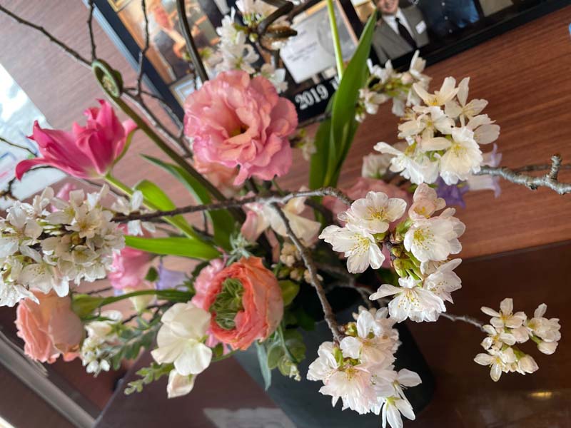 香川県高松市の噛み合わせ専門歯科医院　吉本歯科医院