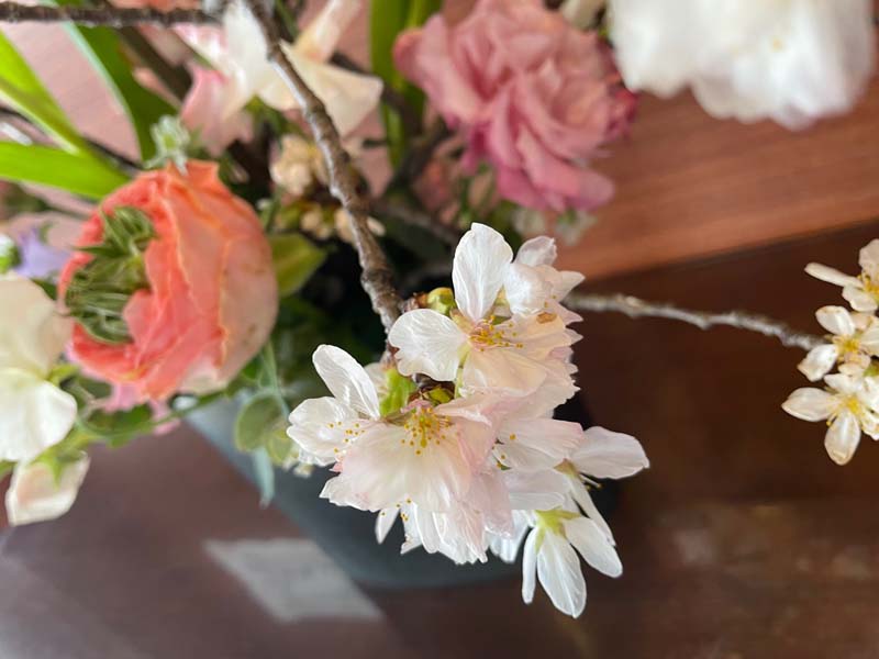 香川県高松市の噛み合わせ専門歯科医院　吉本歯科医院