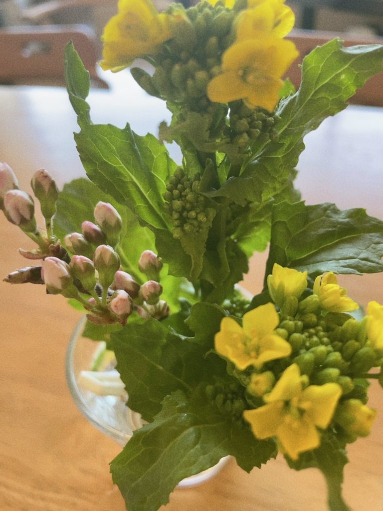 高松市の吉本歯科医院｜スタッフの今日のまかないお昼ご飯