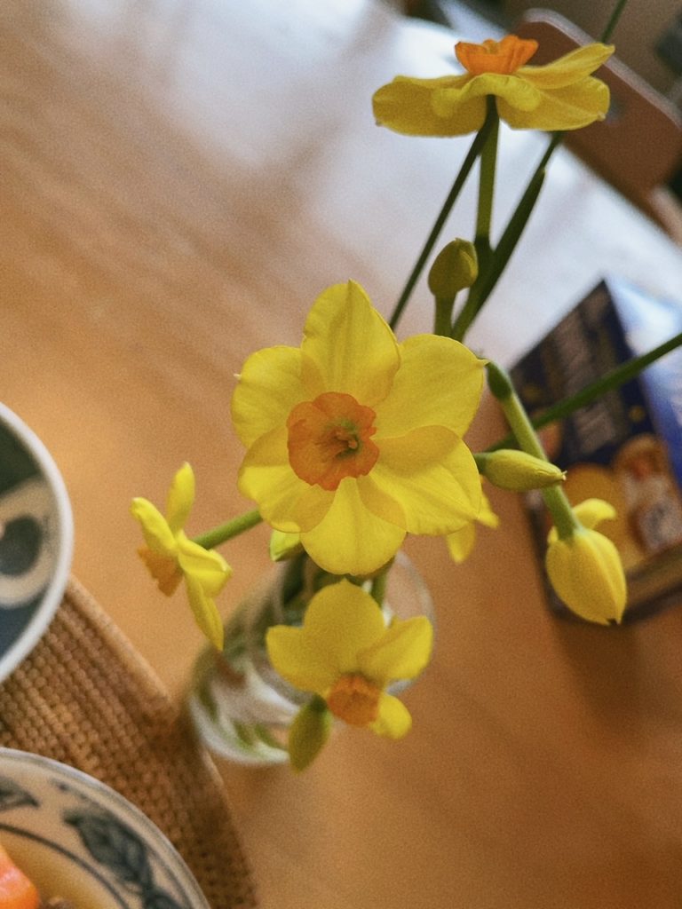 吉本歯科医院の今日のまかない｜高松市のかみあわせ歯科