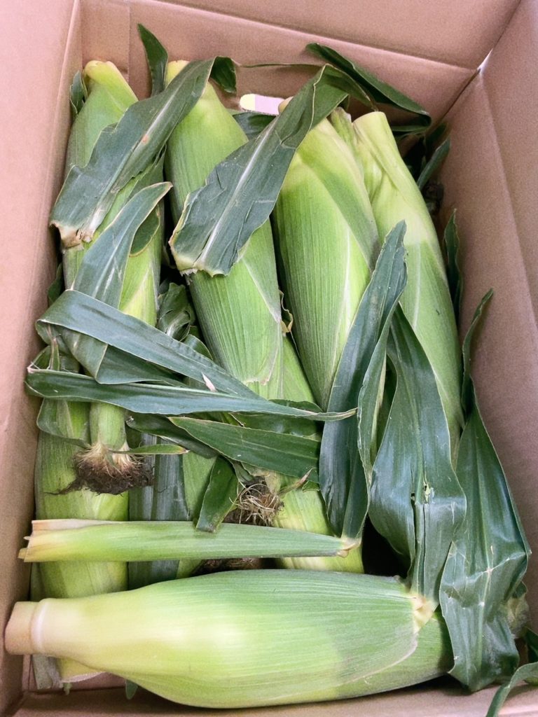 香川県高松市の噛み合わせ専門歯科　吉本歯科医院のマネージャー吉本委子香川県高松市の噛み合わせ専門歯科　吉本歯科医院のマネージャー吉本委子