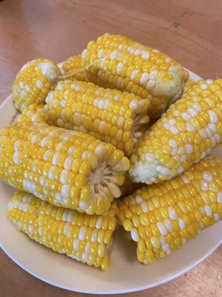 香川県高松市の噛み合わせ専門歯科　吉本歯科医院のマネージャー吉本委子香川県高松市の噛み合わせ専門歯科　吉本歯科医院のマネージャー吉本委子