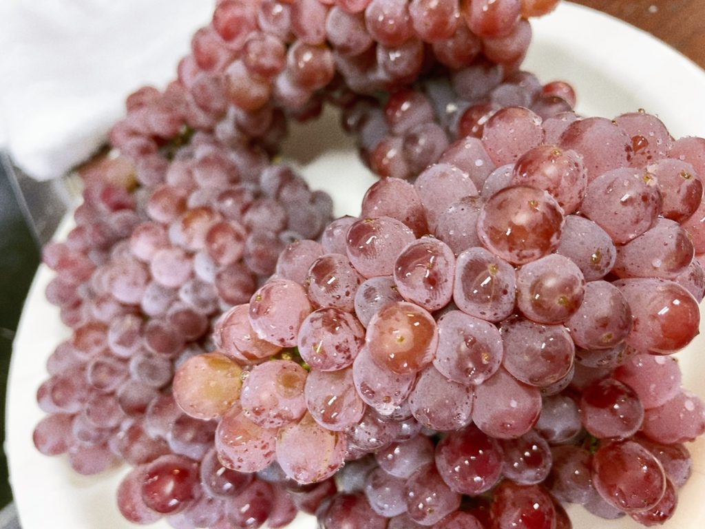 吉本歯科医院のまかないご飯｜高松市の吉本歯科医院