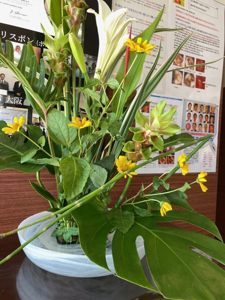 高松市の吉本歯科医院の今週のお花