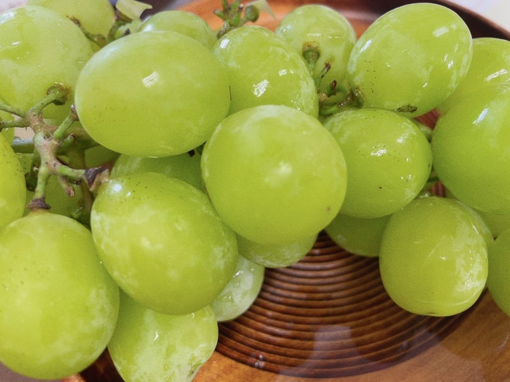 吉本歯科医院の今日のお昼ごはん|高松市のインプラント 治療