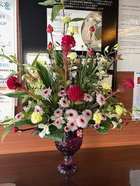 高松市の吉本歯科医院の今週のお花