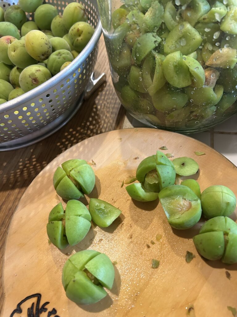 高松市で海水温熱をしている患者さんに梅煮を教えて頂いた|香川県高松市の噛み合わせ専門歯科 吉本歯科医院のマネージャー吉本委子