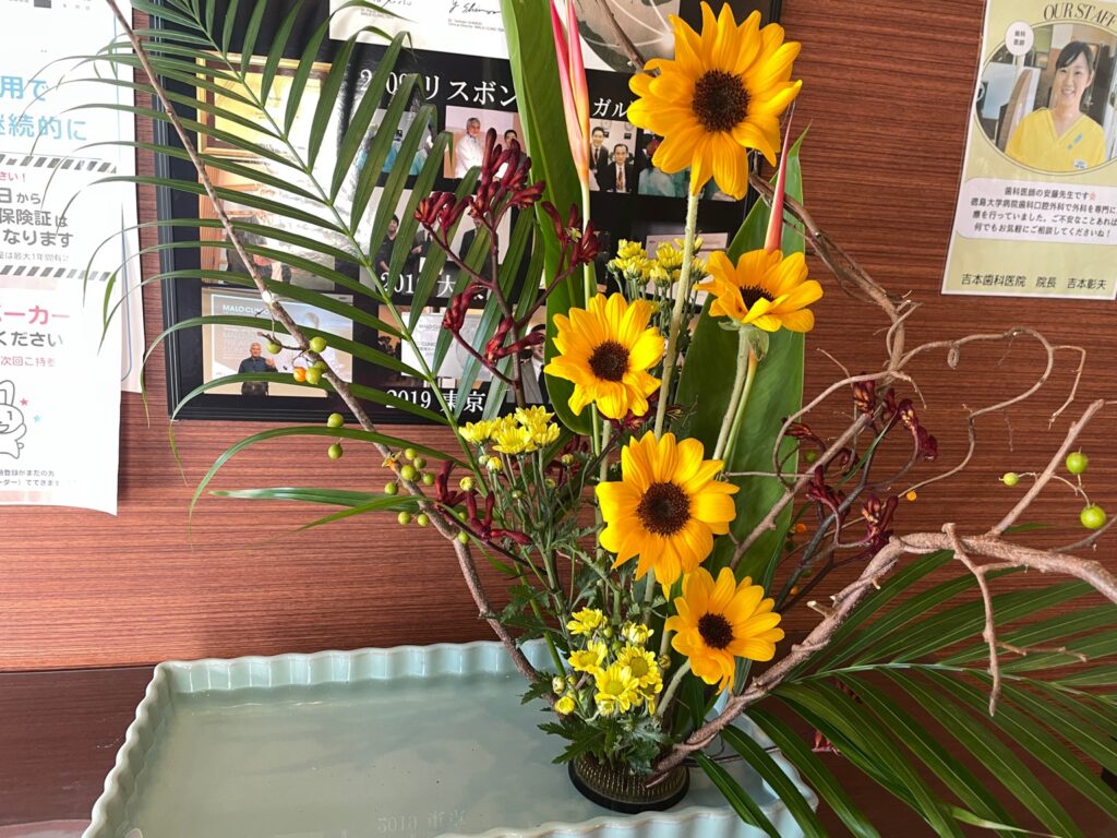 香川県高松市の噛み合わせ専門歯科医院　吉本歯科医院